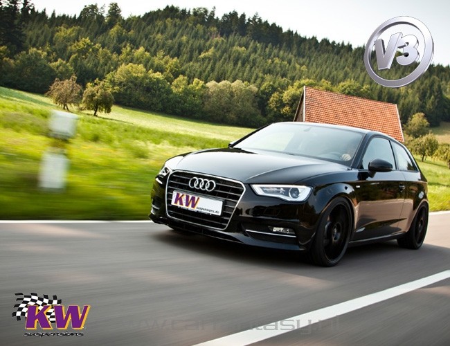 Schroefset KW V3 inox VW Passat Variant 3c (ab 11/2010) 2.0 TDI