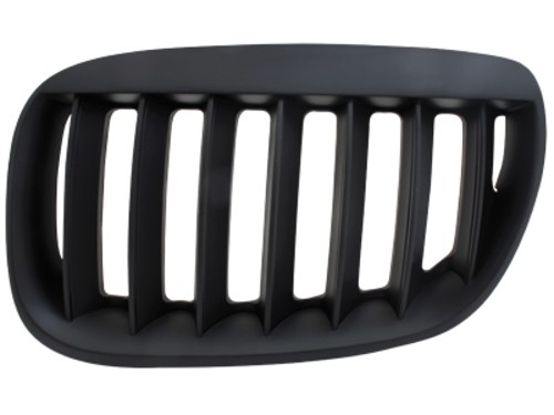 Grill Nieren passend voor BMW X5 E53 04-06 Zwart
