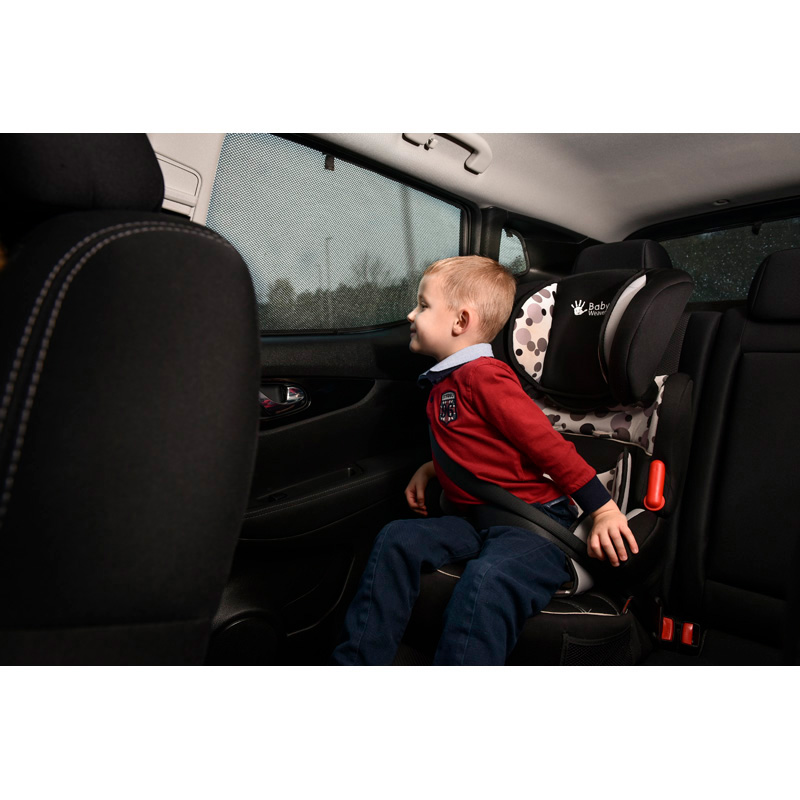 Set Car Shades (achterportieren)  BMW X5 (F15) 2013-2018 (4-delig)